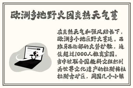 迈开腿让我尝尝你的扇贝